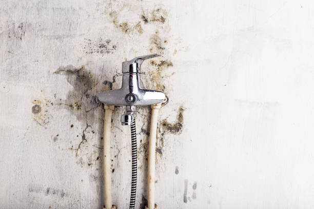 Best Mold Testing  in Bryant, WA