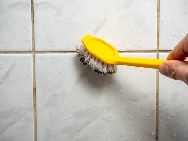 Best Mold Remediation  in Bryant, WA