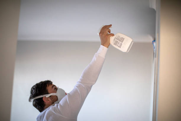 Best Black Mold Removal  in Bryant, WA