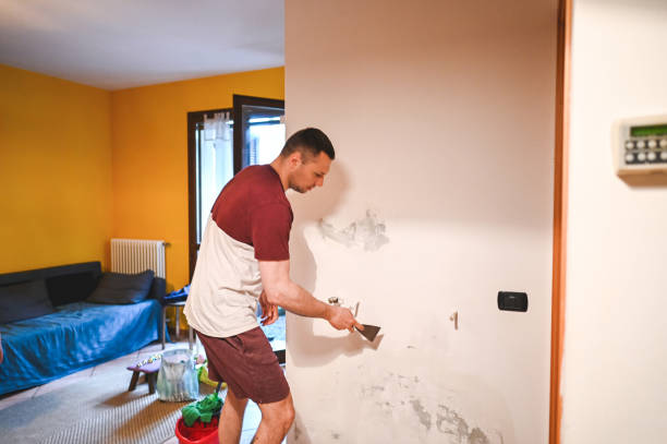 Best Toxic Mold Removal  in Bryant, WA